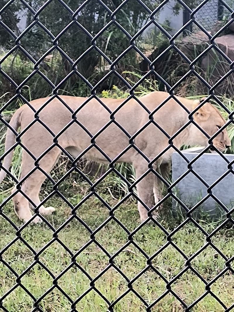 Alabama Gulf Coast Zoo