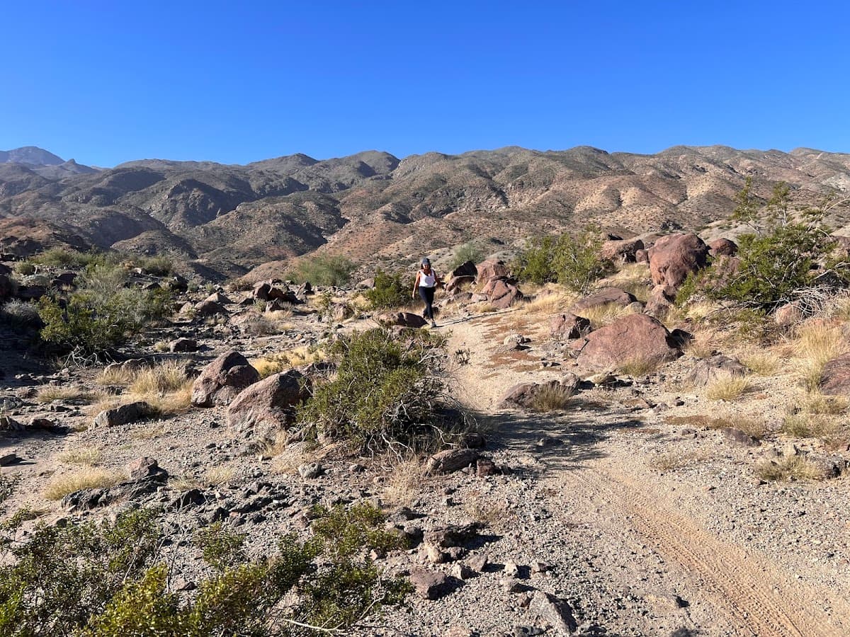 Bear Creek Trail Biking - La Quinta Area