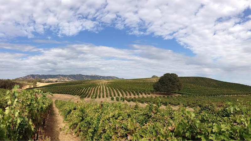 Berryessa Gap Vineyards Tasting Room