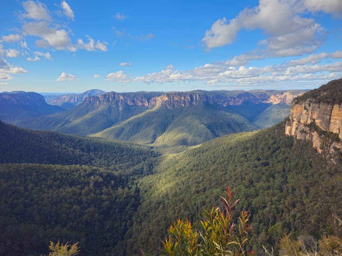 Blue Mountains National Park