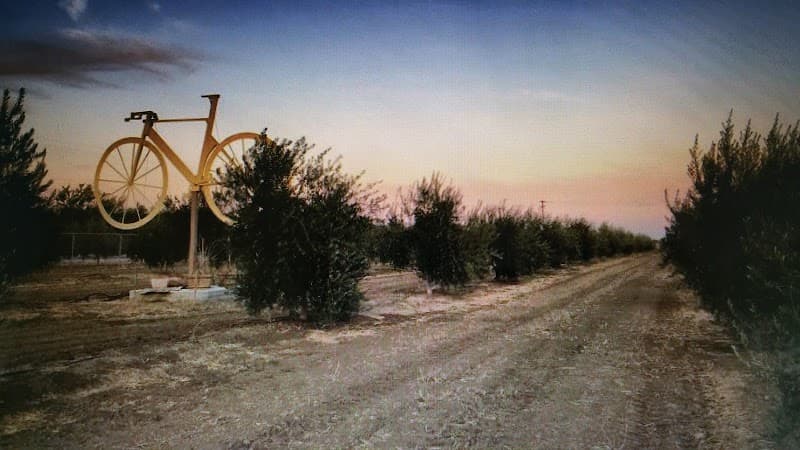 Bondolio Olive Oil Farm