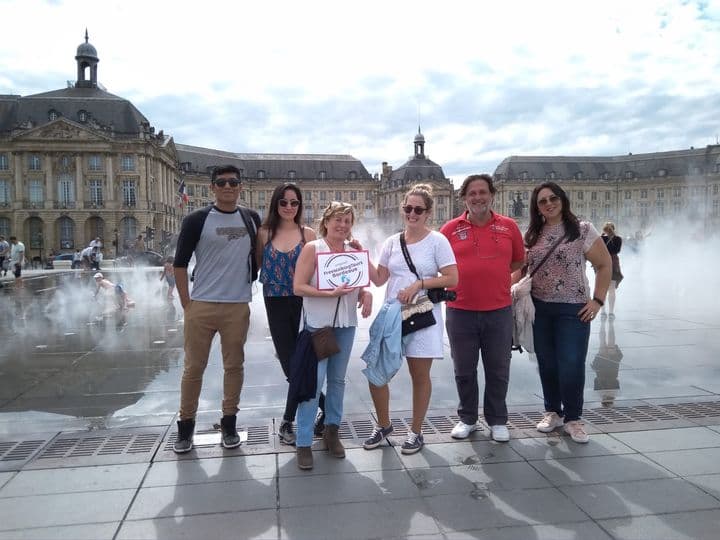Bordeaux in a Day City and Chateau Visit Shared Walking Tour