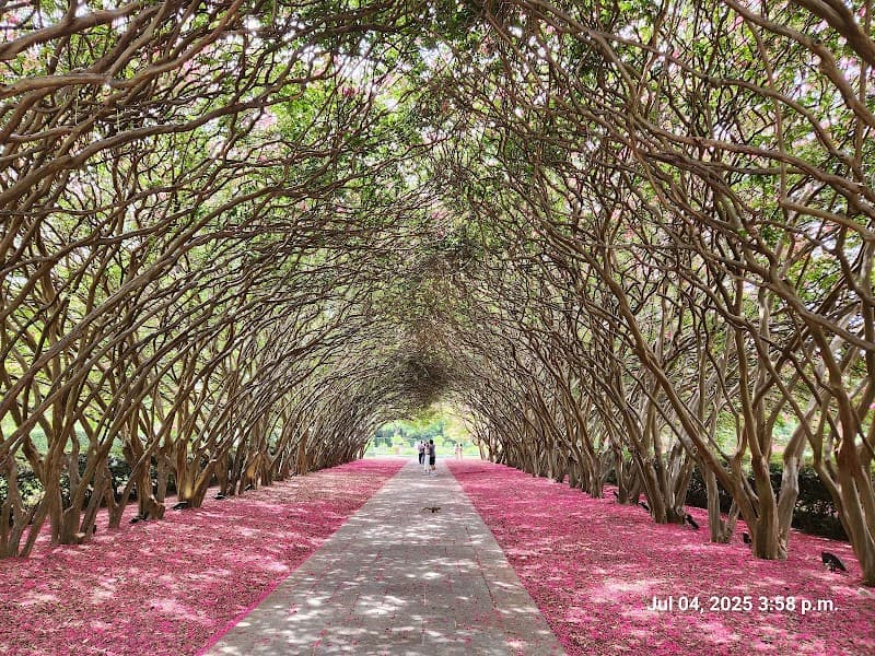 Dallas Arboretum and Botanical Garden