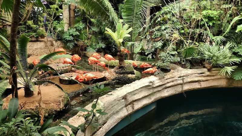Dallas World Aquarium