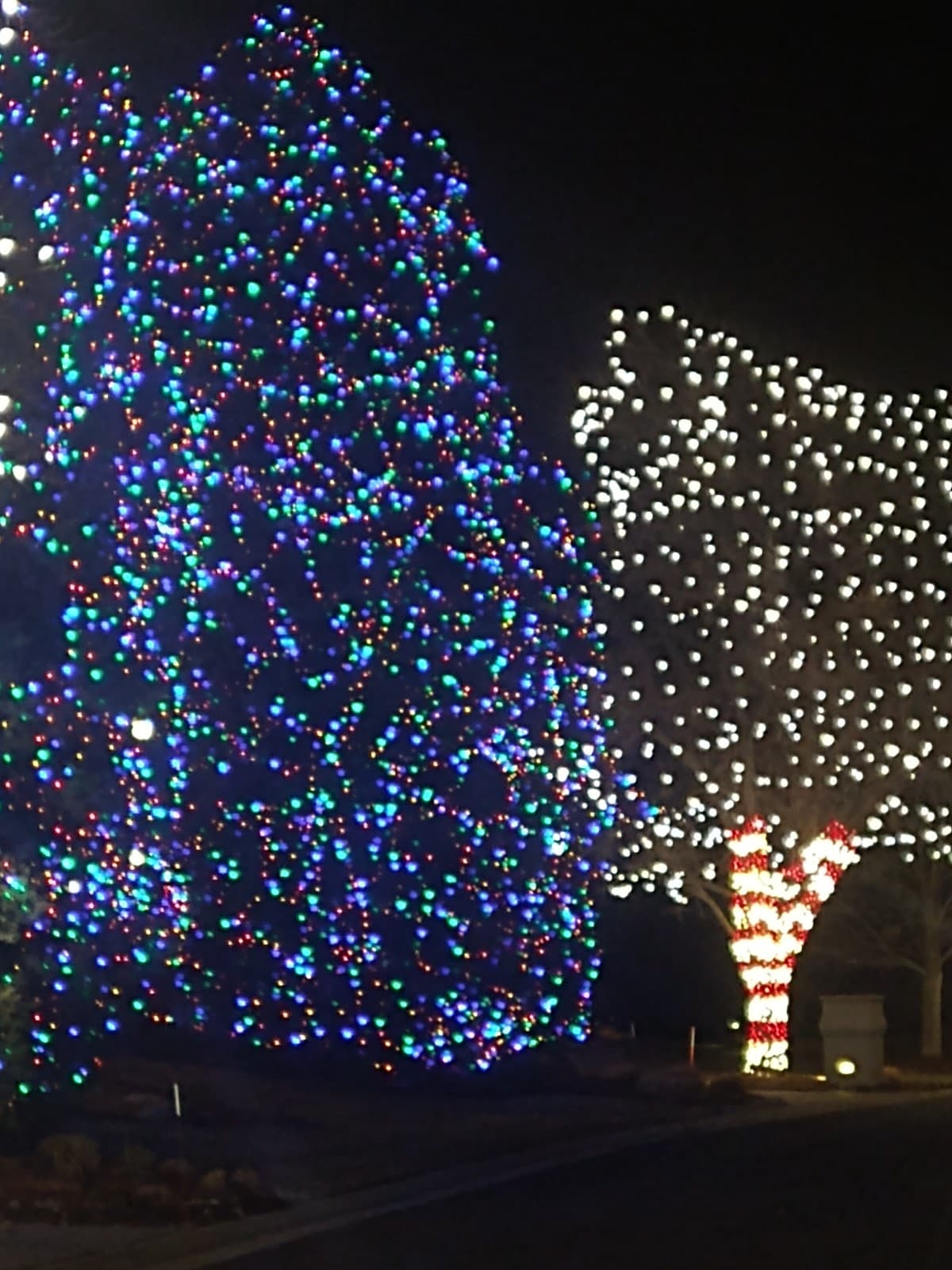 Denver Metropolitan Area