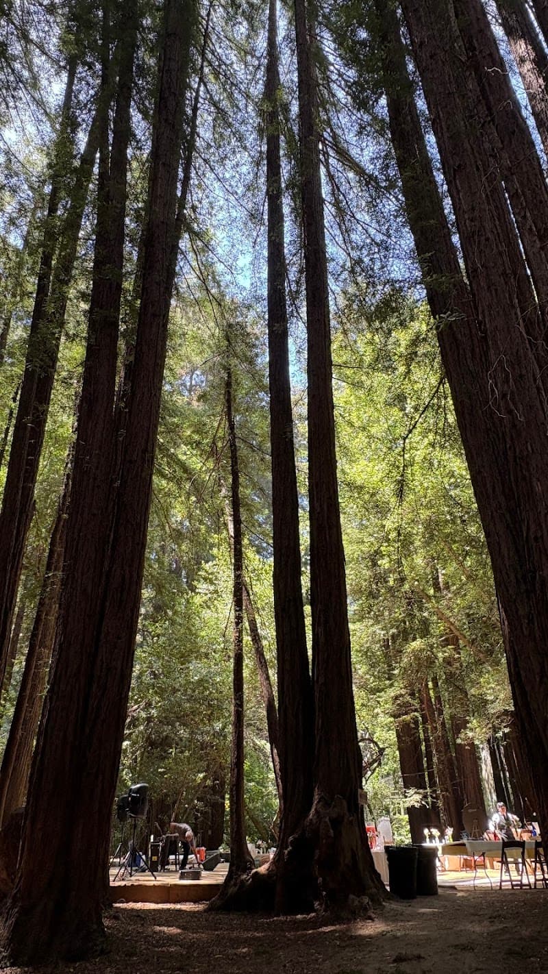 Dipsea Trailhead - Old Mill Park