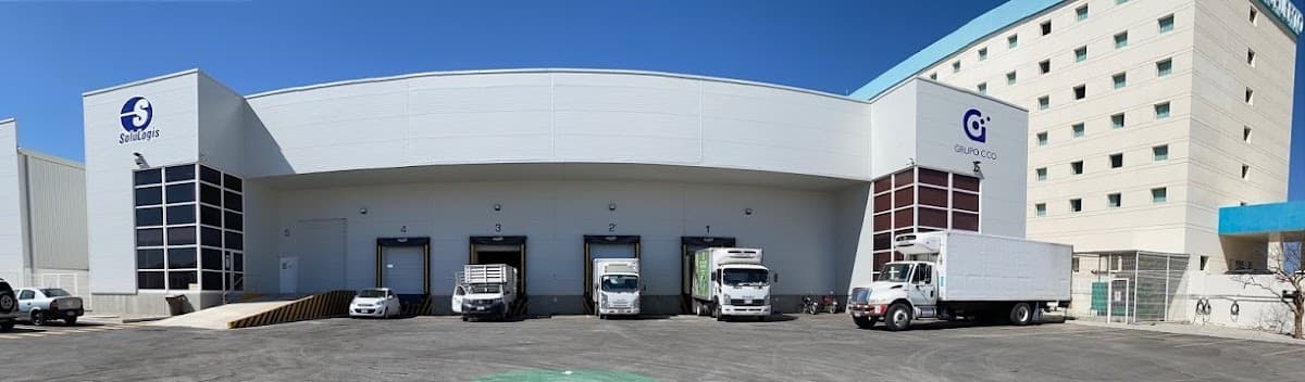 Dolphin Discovery Los Cabos