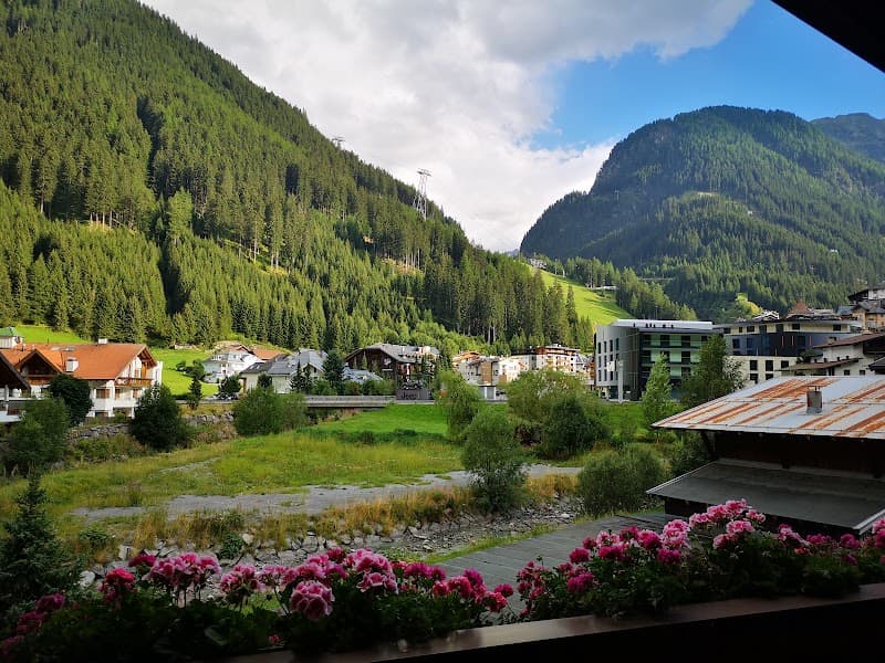 Gourmet Picnic on the Mountain