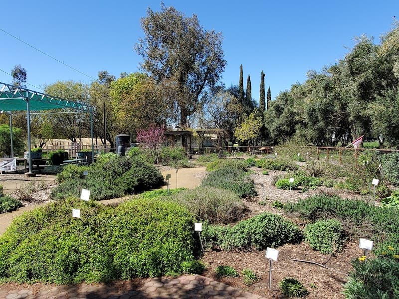 Häagen-Dazs Honey Bee Haven