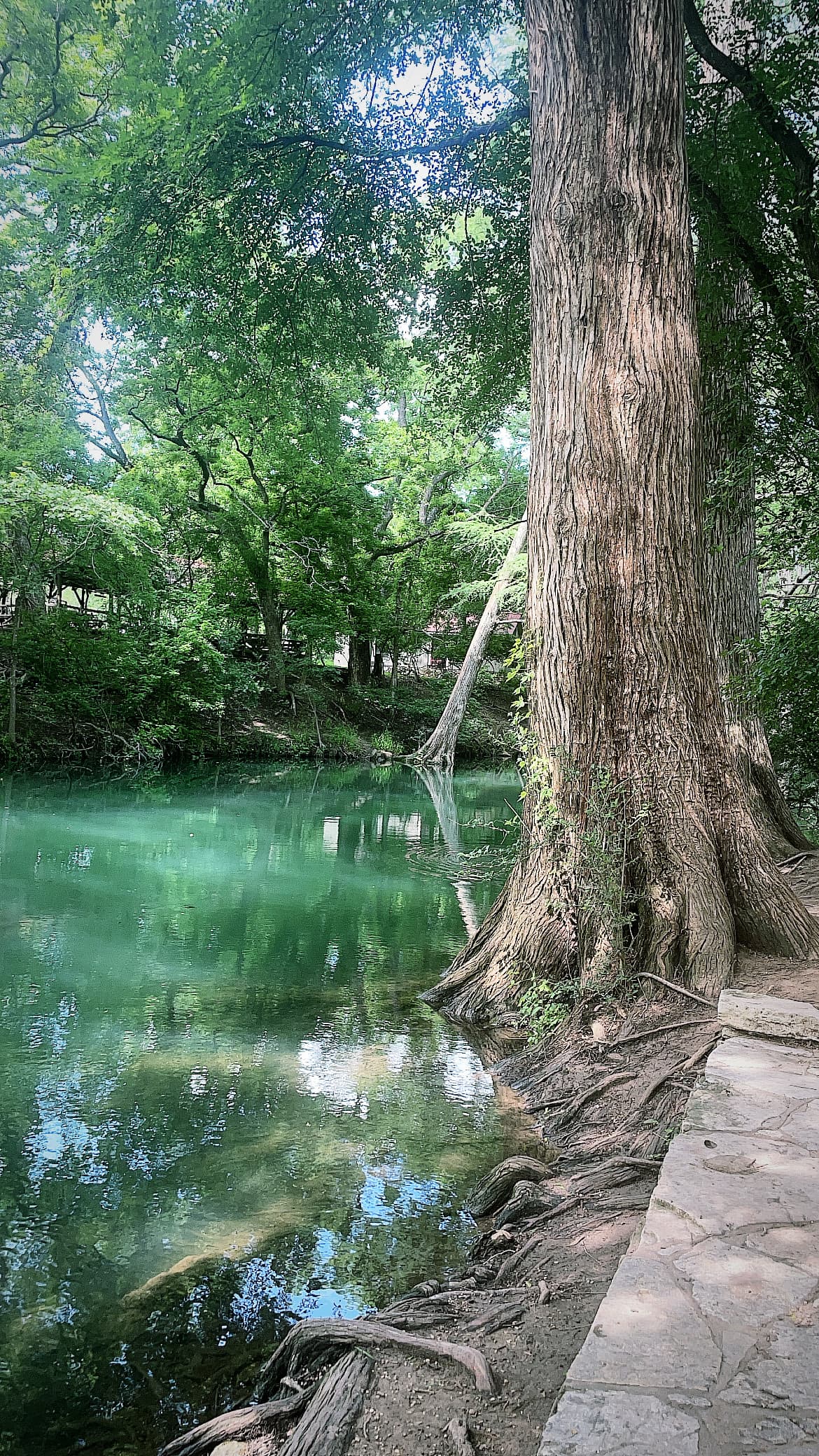 Hill Country