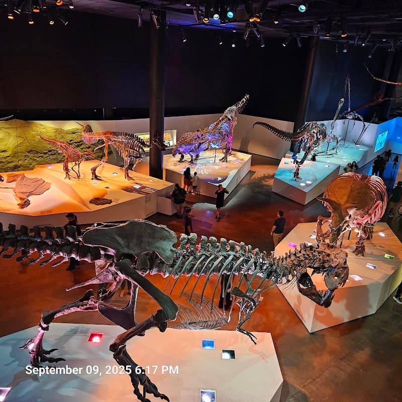 Houston Museum of Natural Science
