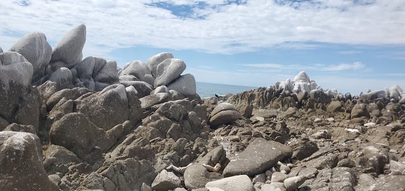 Isla San Jorge (Bird Island) Boat Tour