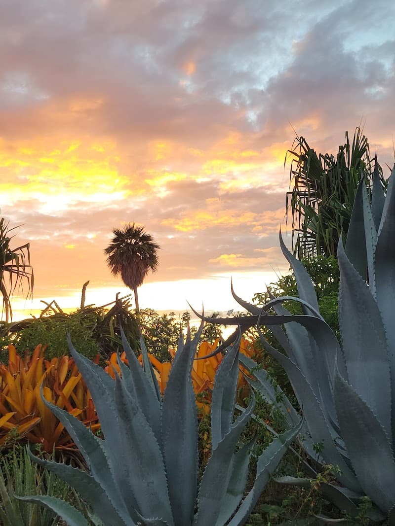 Kailua-Kona Historic Town Walk