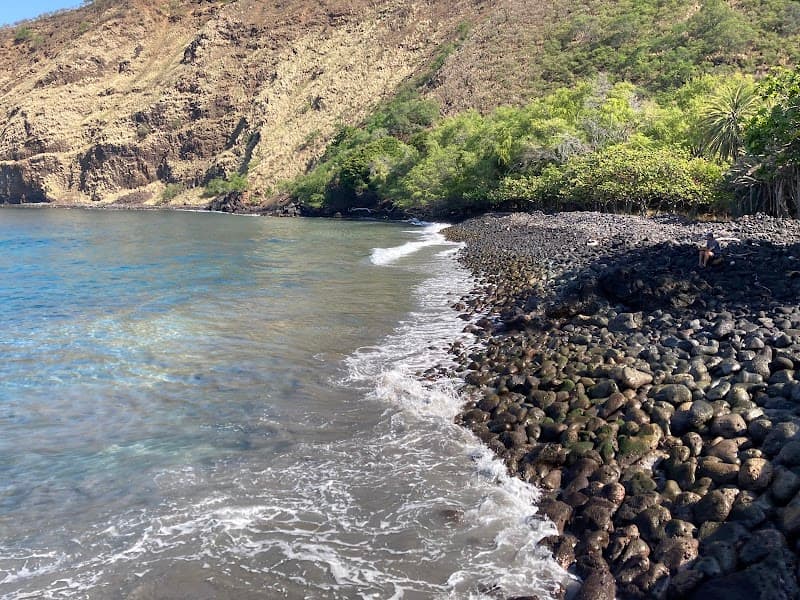 Kealakekua Bay Viewpoint & Picnic (Napo‘opo‘o Road area)