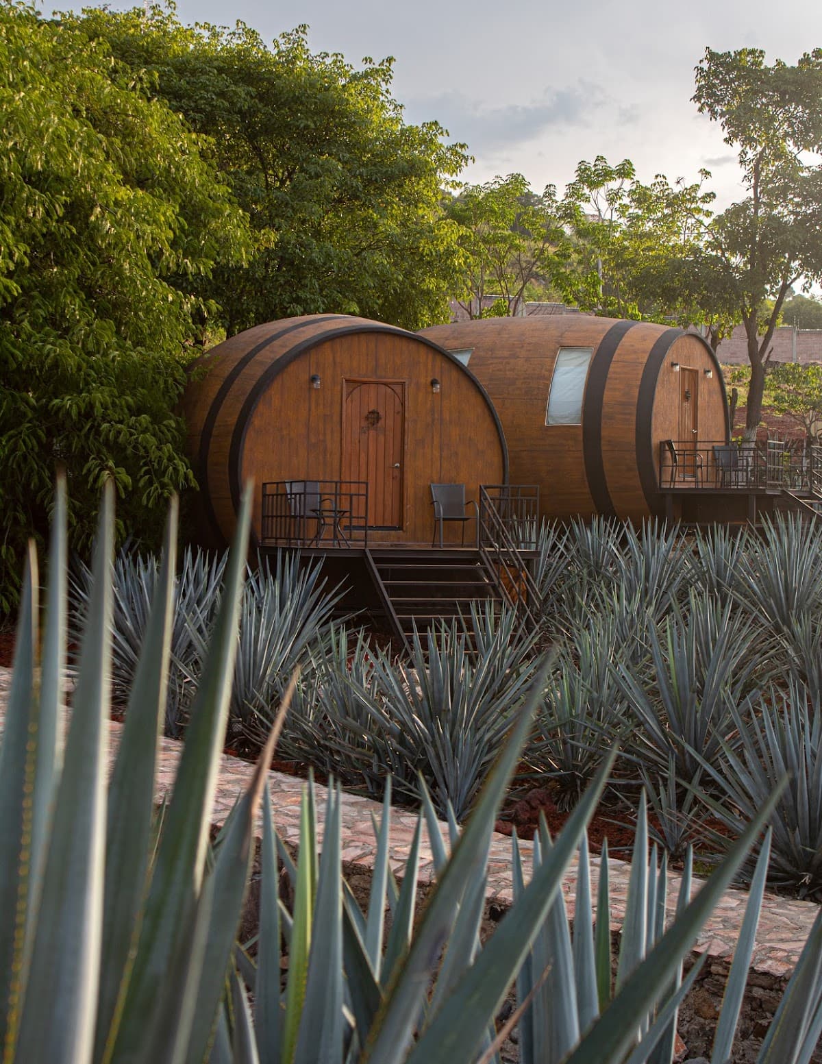 La Jima Experience Restaurant