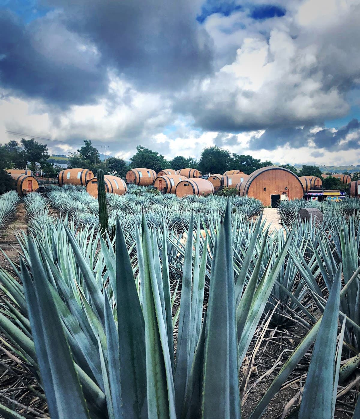 Matices Hotel de Barricas