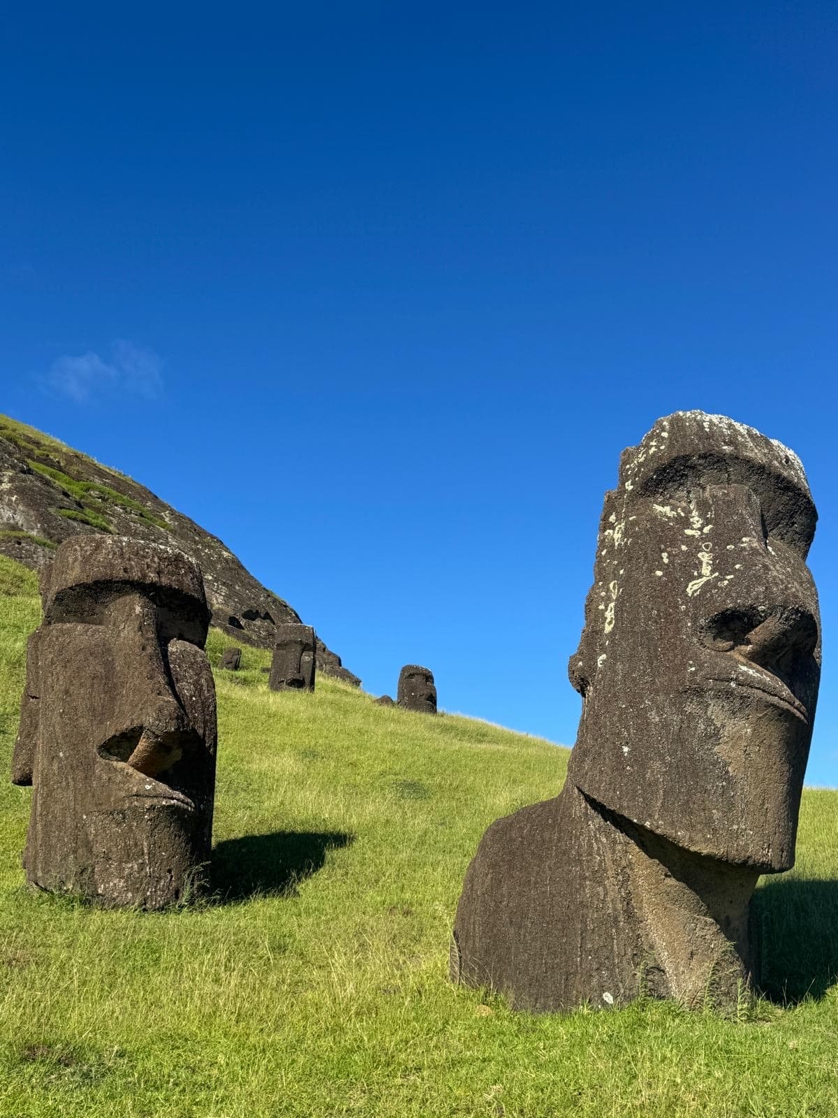 Moai of Easter Island