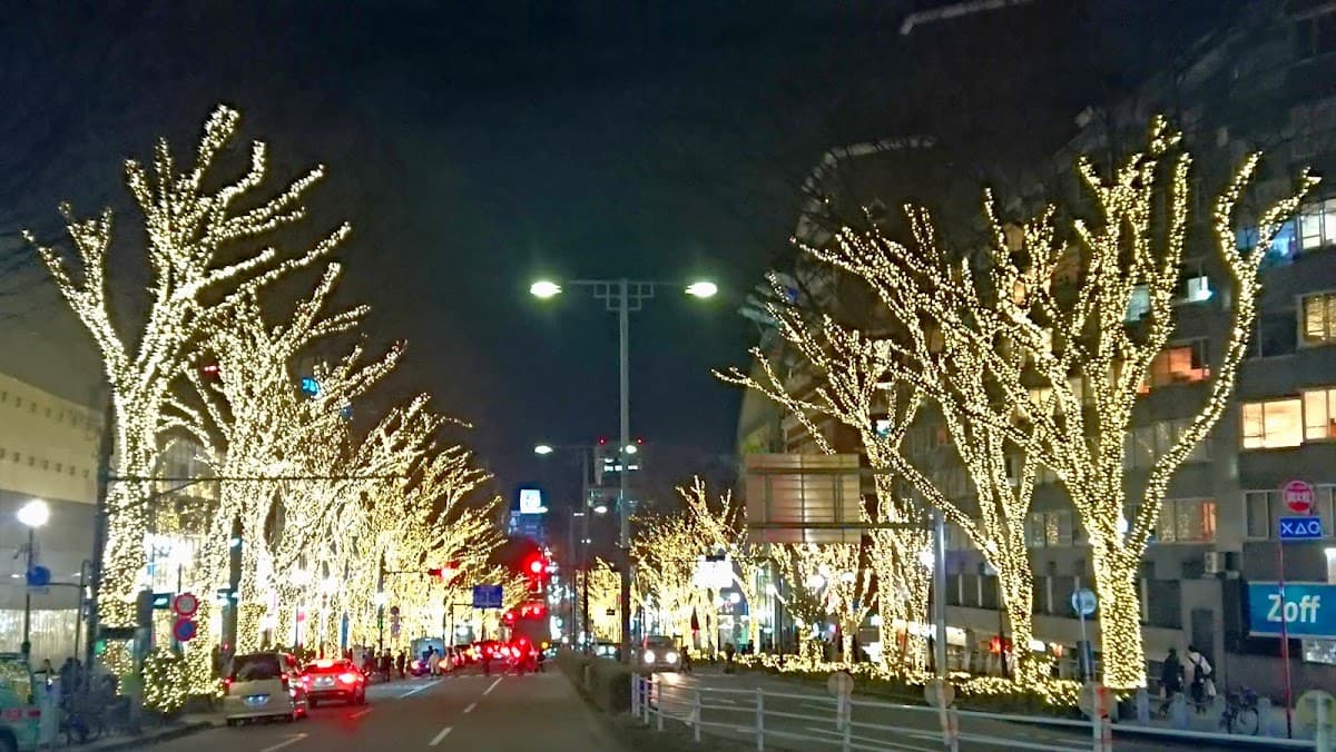 Omotesando and Harajuku