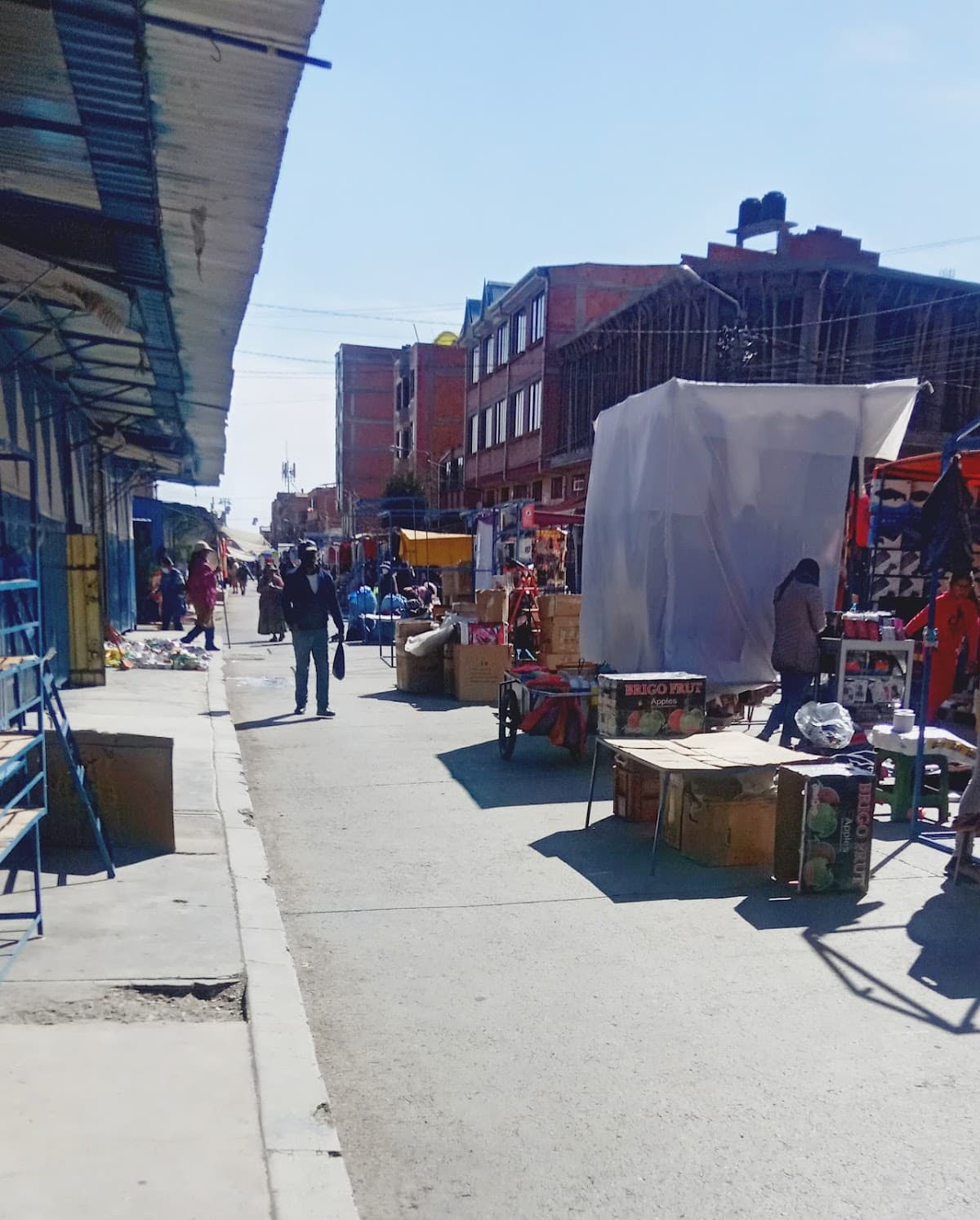 Private Tiwanaku Tour