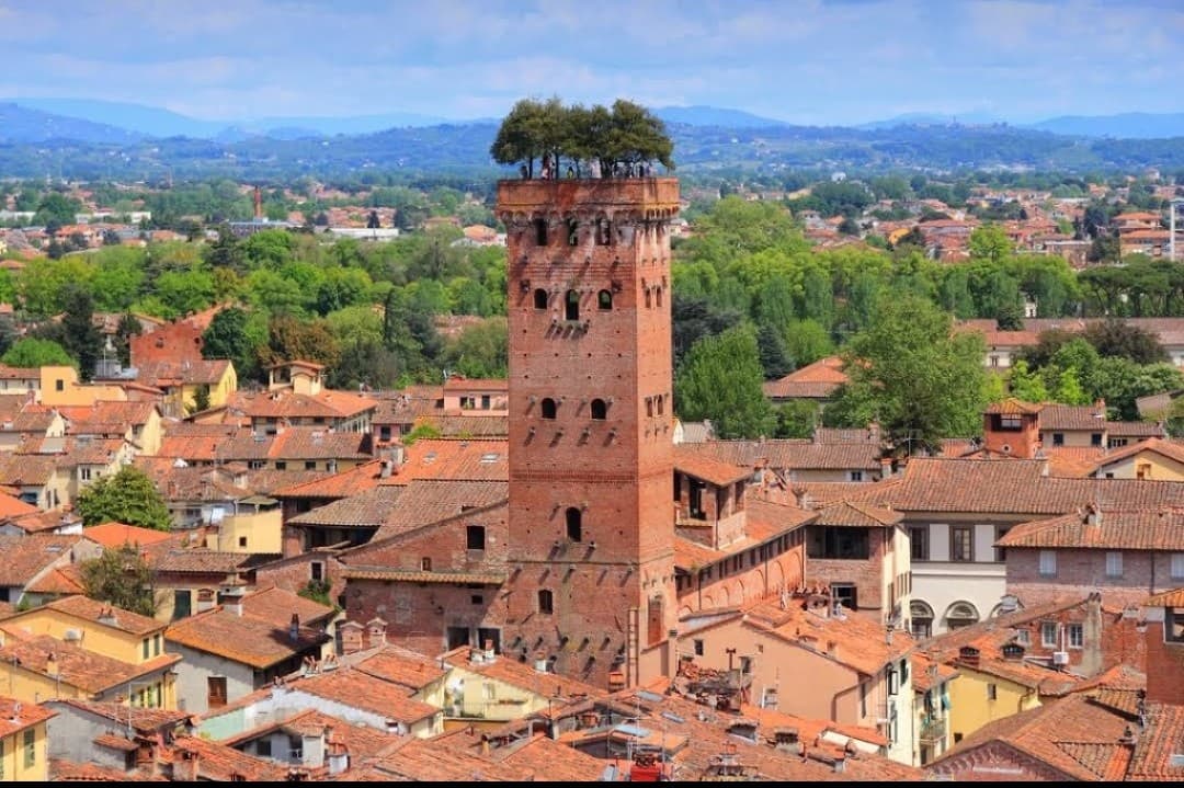 Private Tour of Piazza dell'Anfiteatro and Guinigi Tower