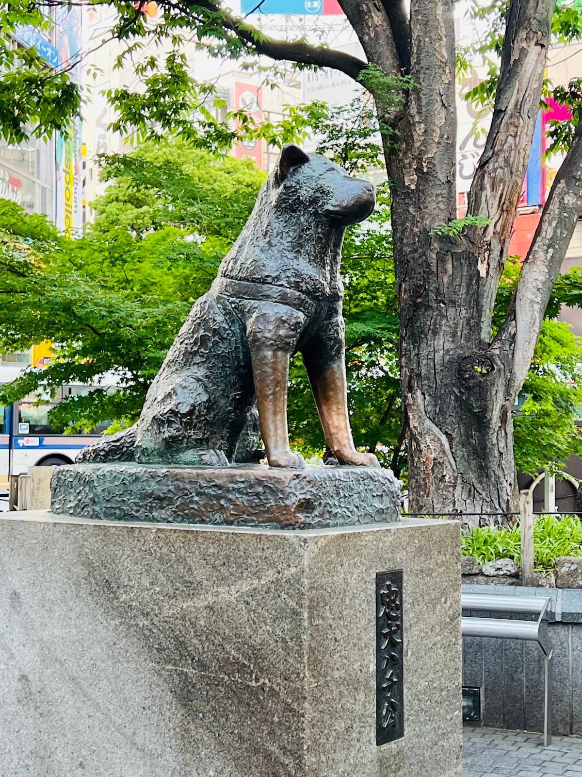 Shibuya Crossing & Hachiko Statue