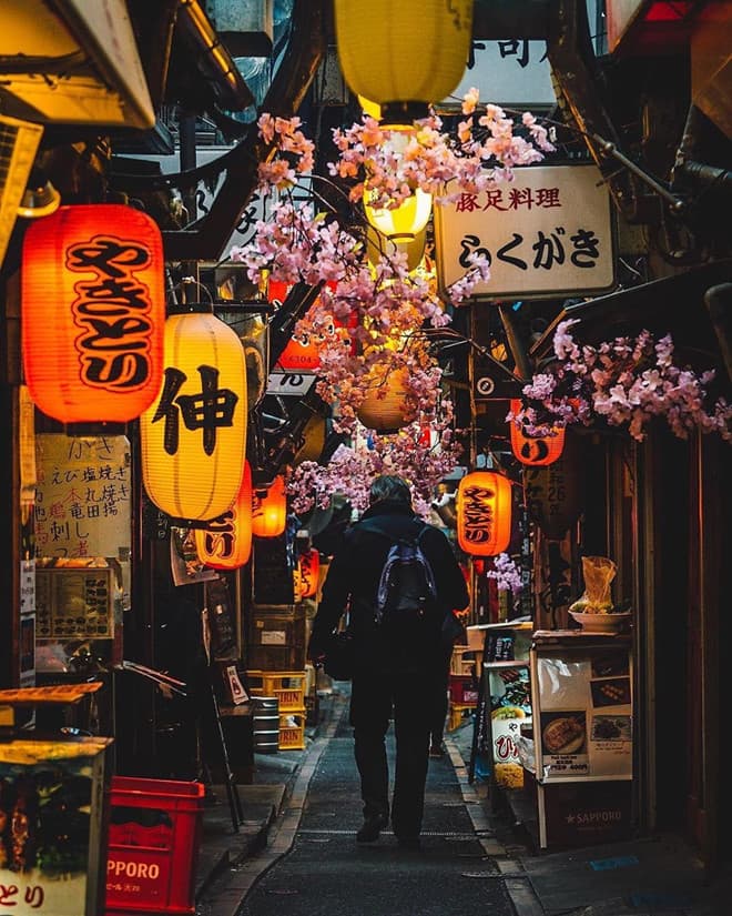 Shinjuku Food Alleys (Omoide Yokocho or Shinjuku 3-chōme area)