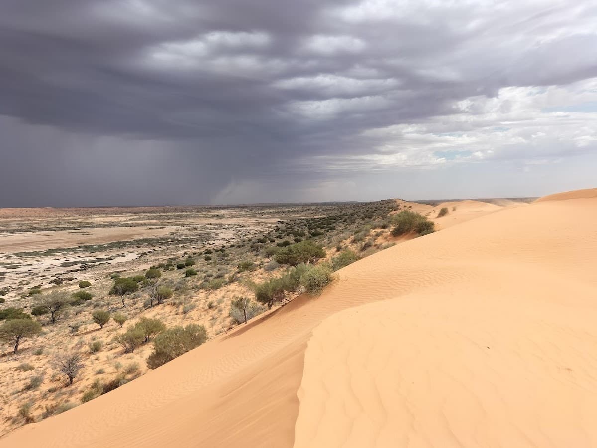Simpson Desert