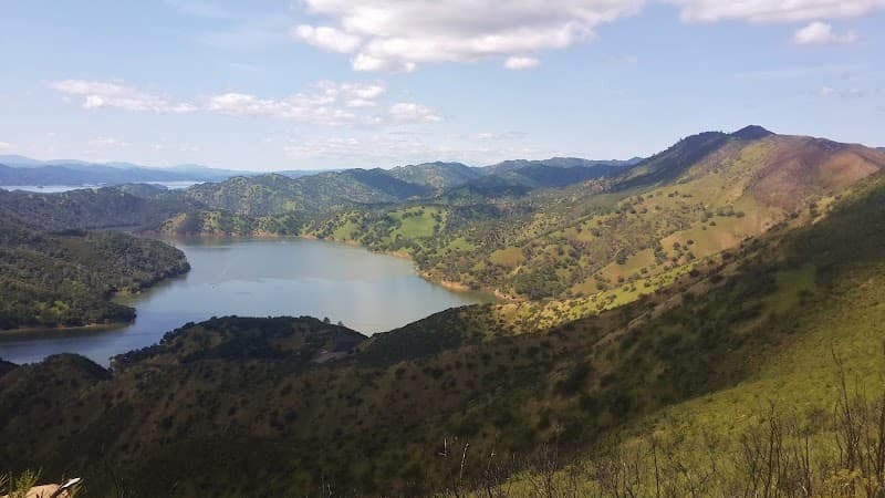 Stebbins Cold Canyon Reserve