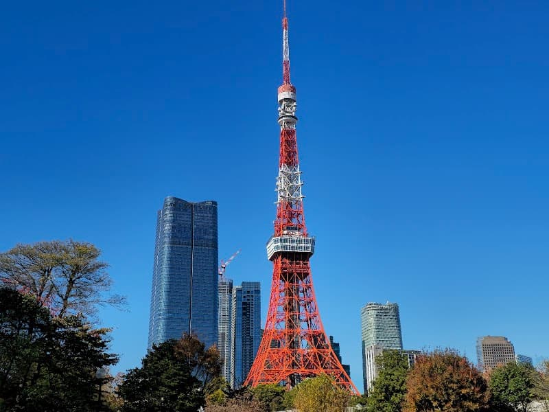 Sushi Making Class Tokyo Tower