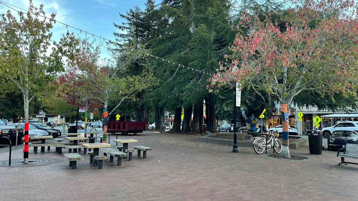 Family Day of Redwoods and Mill Valley Magic