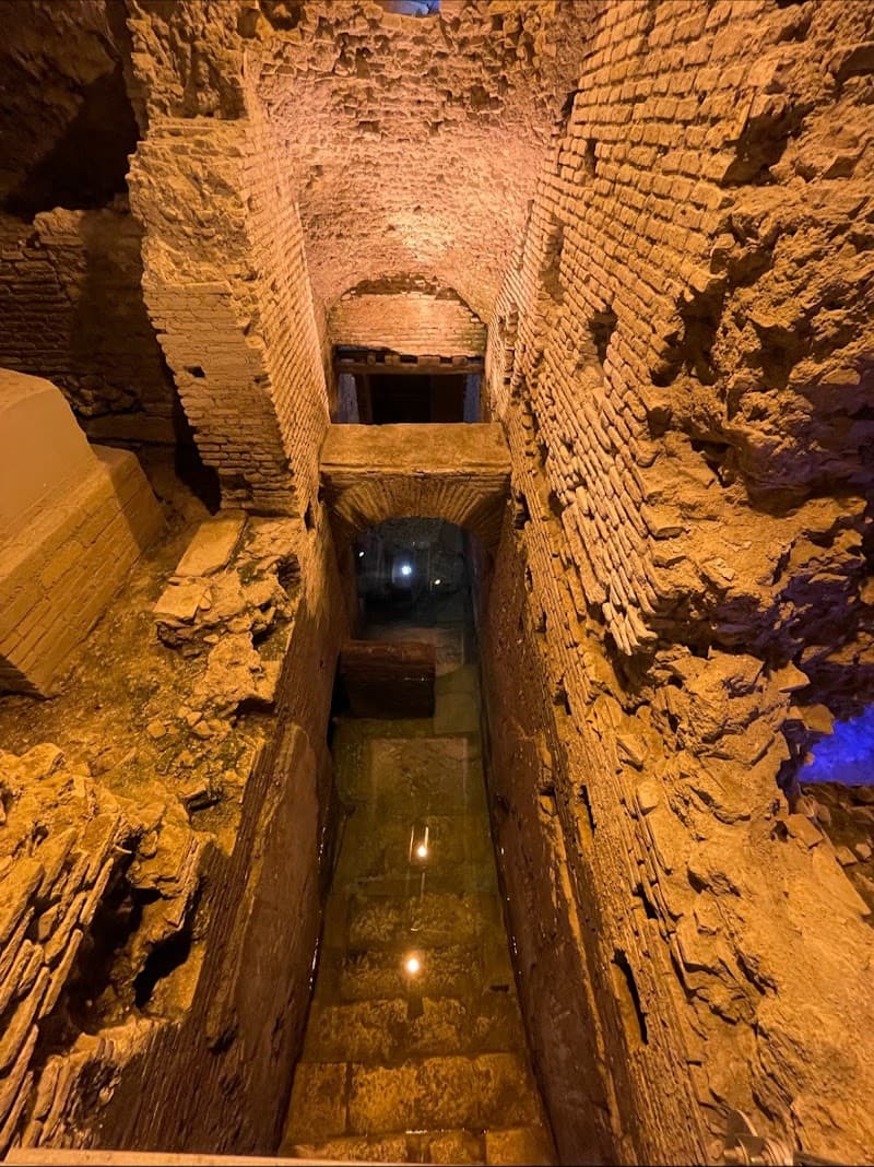 Trevi Fountain & Vicus Caprarius Private Tour