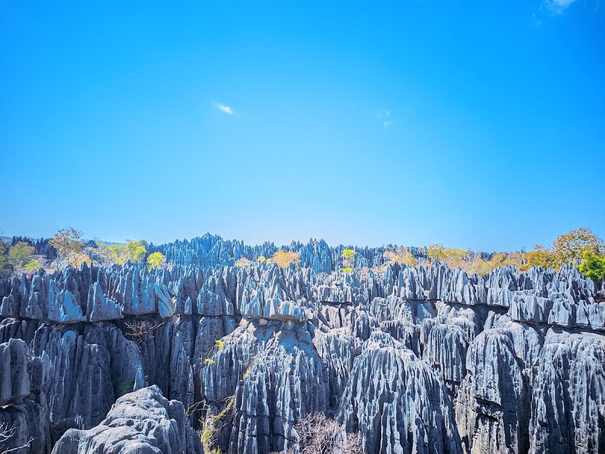 Tsingy de Bemaraha