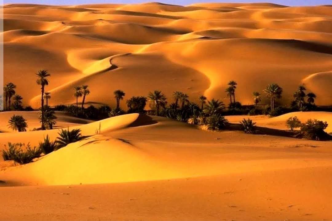 Western Desert
