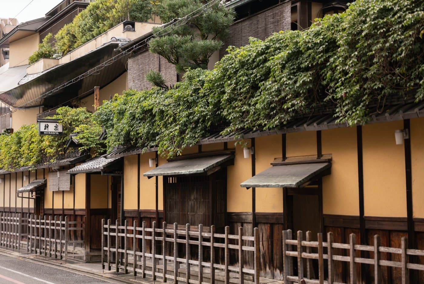 Hiiragiya