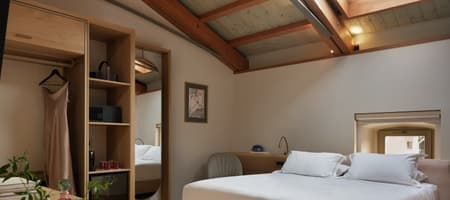 Attic Double Room with Skylights