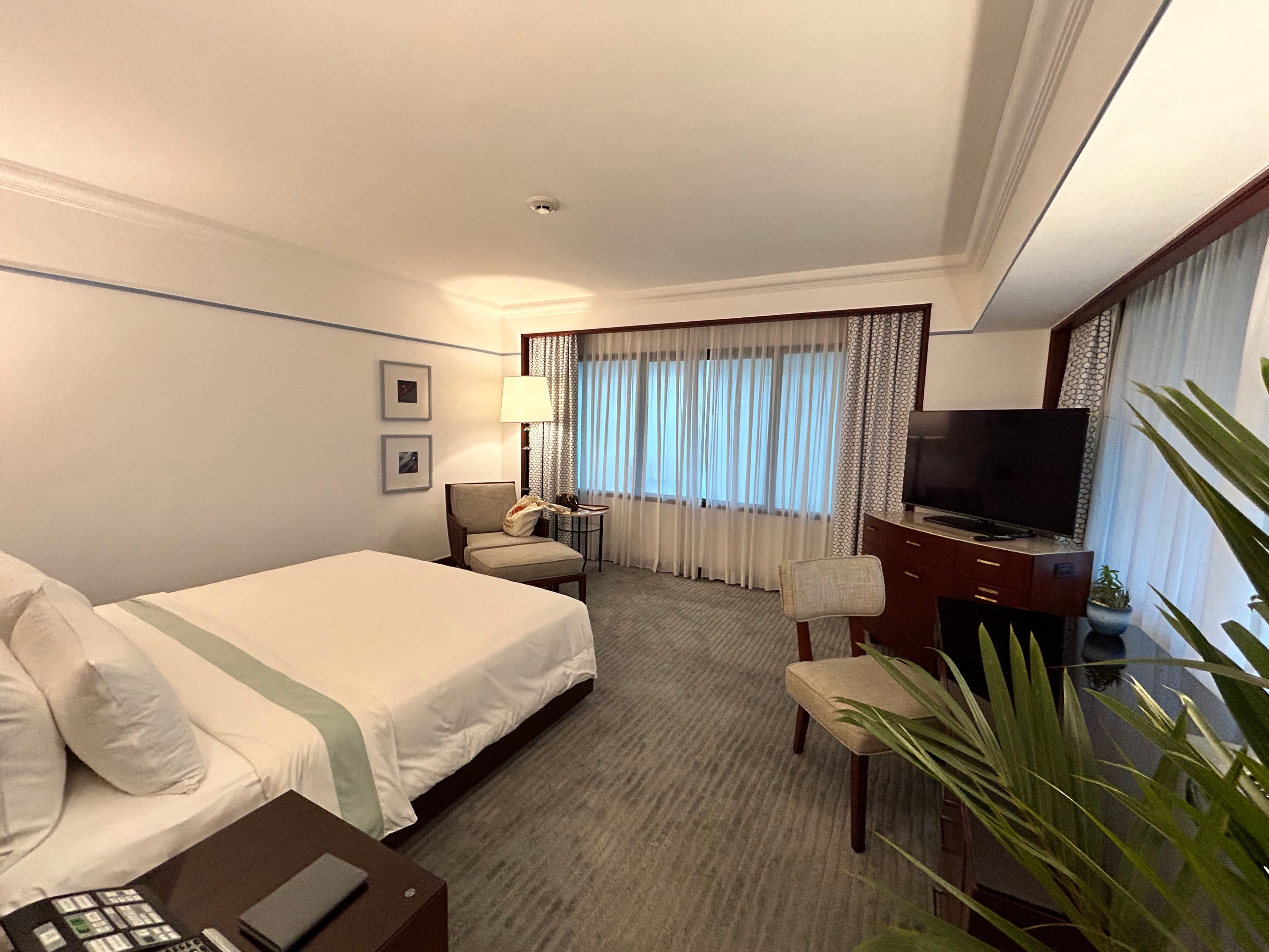 Executive Suite