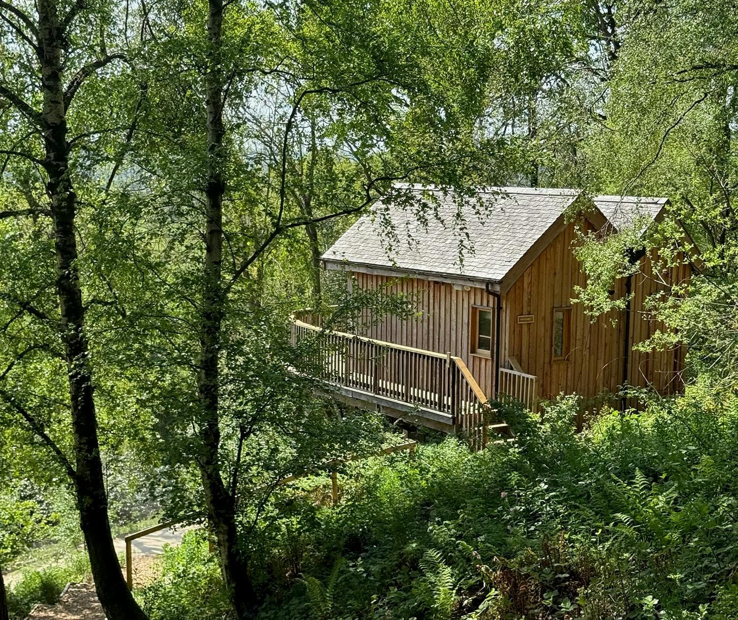 Woodland Hives