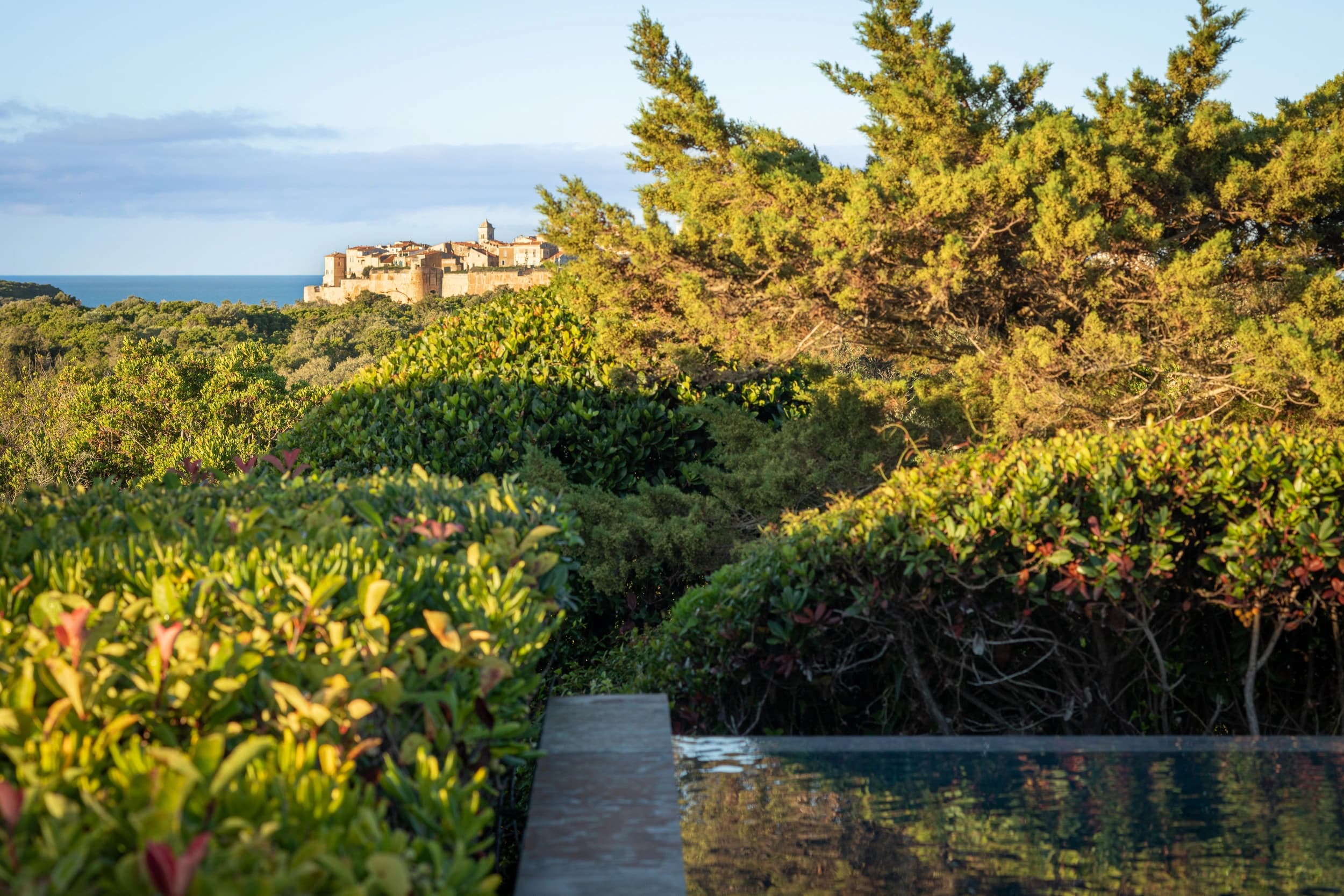 Deluxe Garden View
