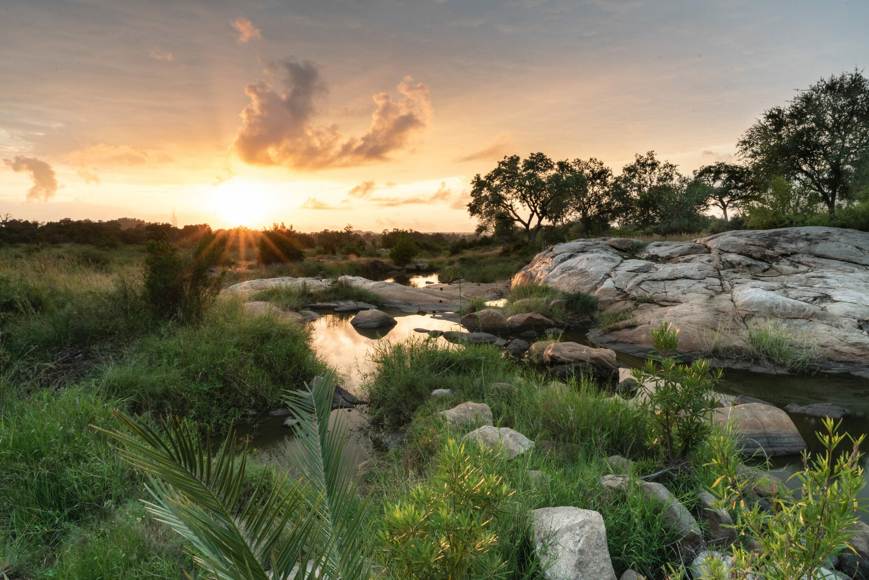 Londolozi Game Reserve