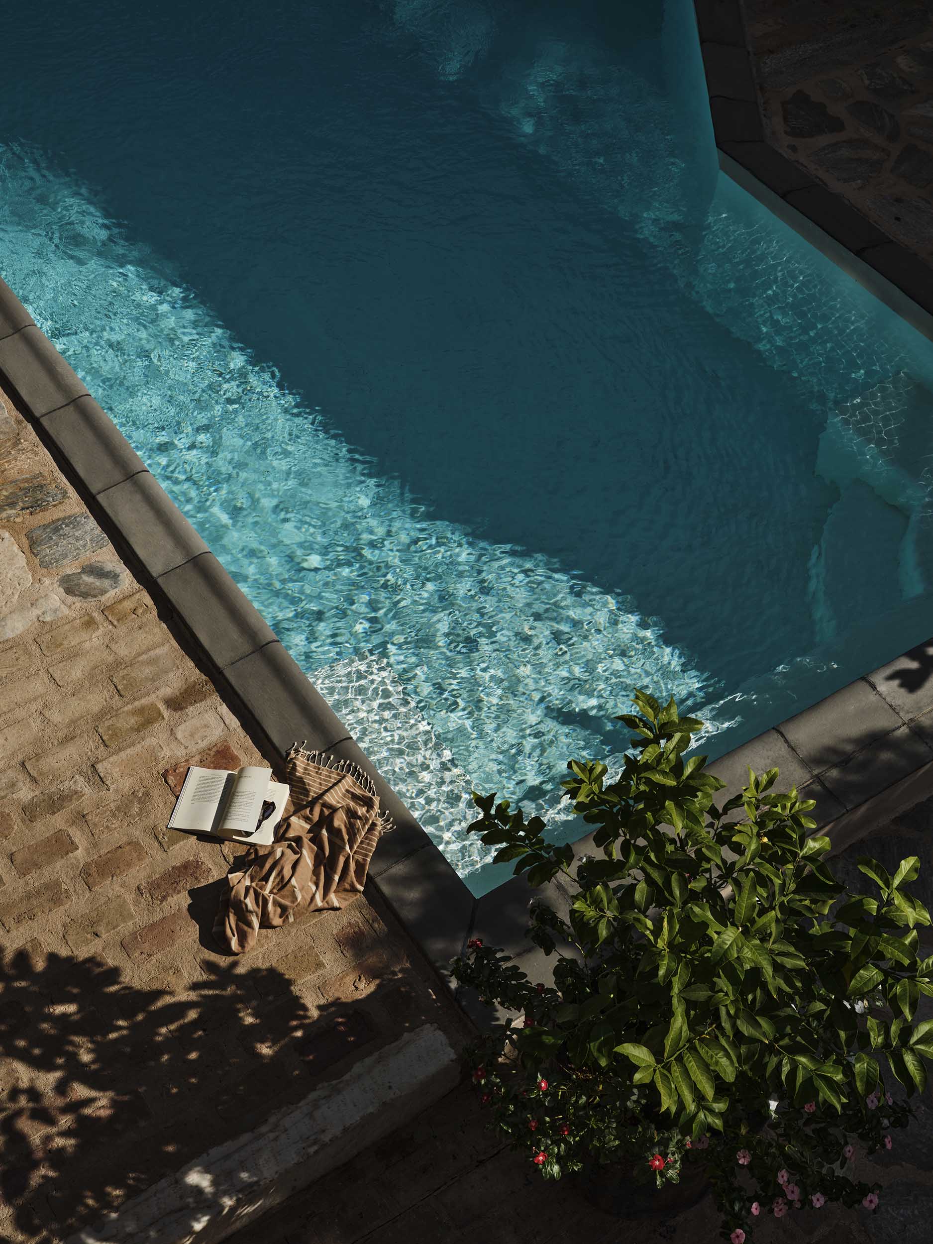 Elea Suite