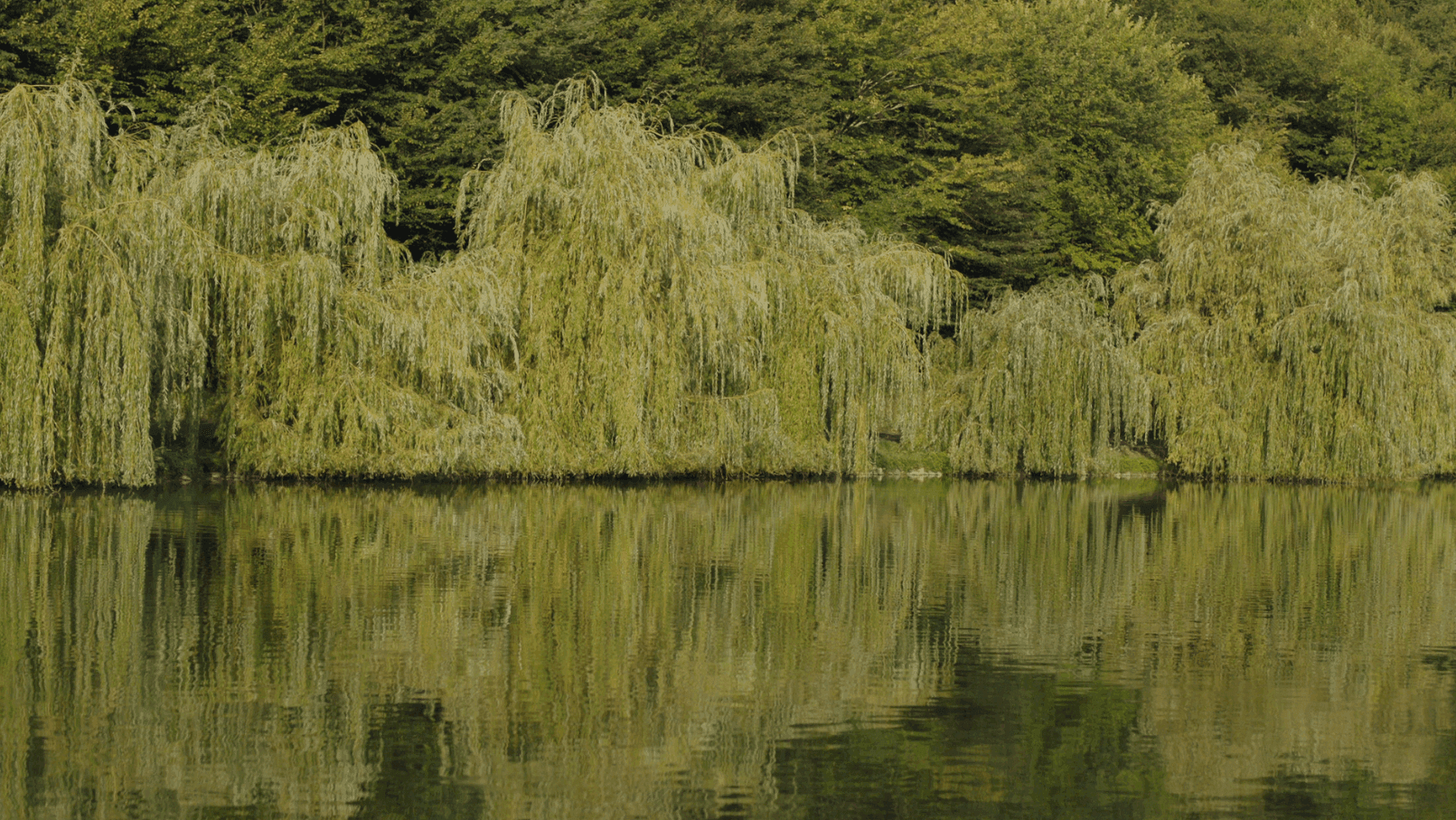 Lopota Lake Resort & Spa