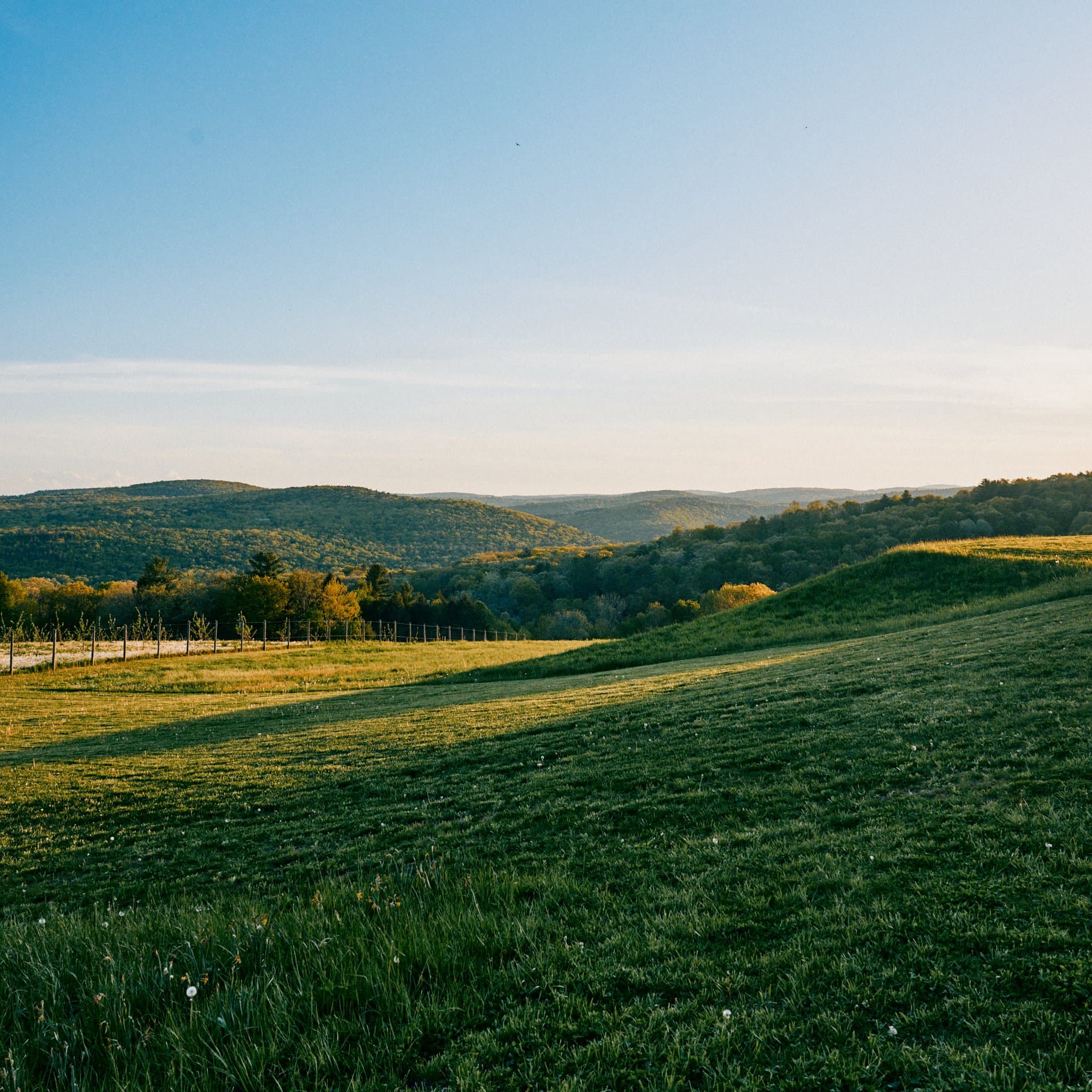 Seminary Hill Orchard & Cidery