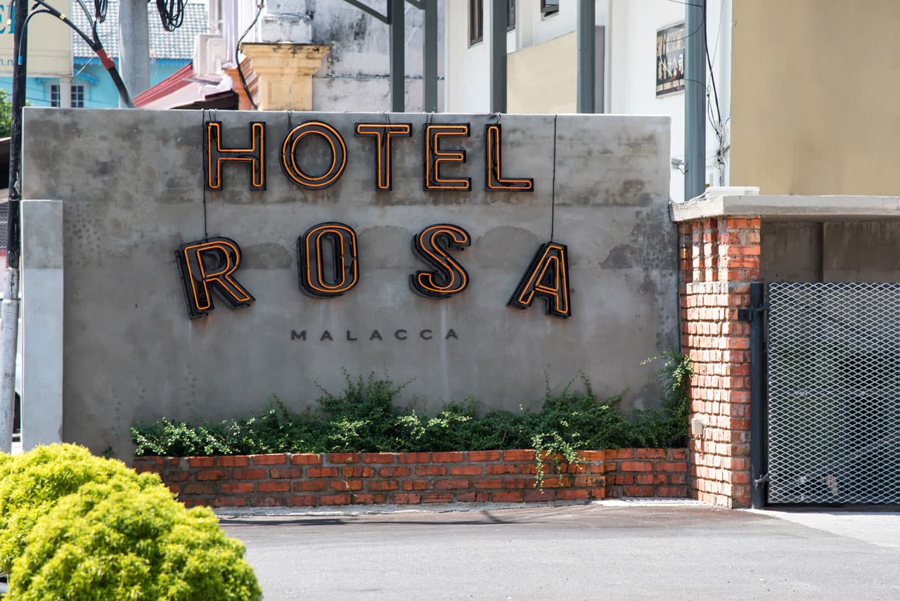 Rosa Malacca