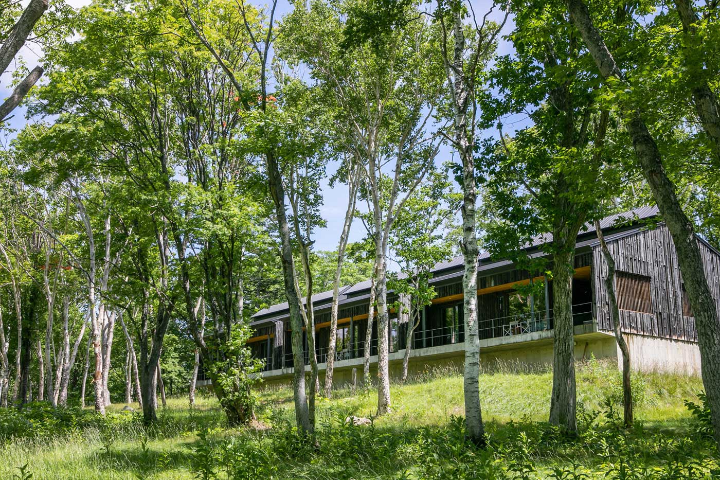 Washitsu Villa