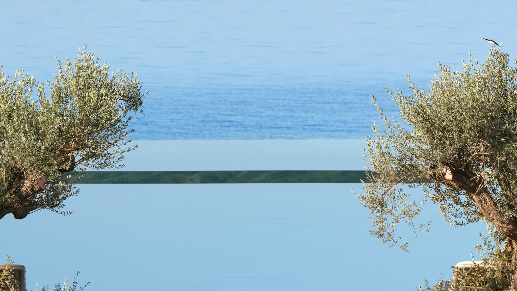 Superior Panoramic
