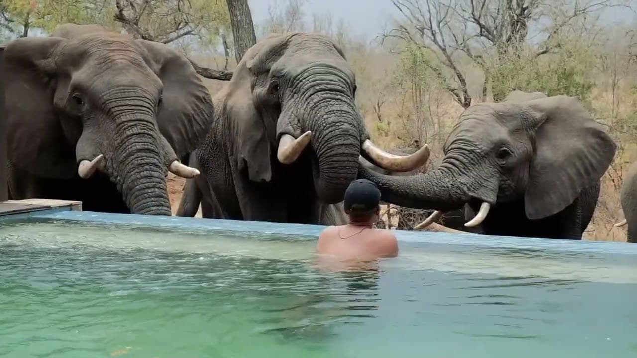 Honeyguide Tented Safari Camps