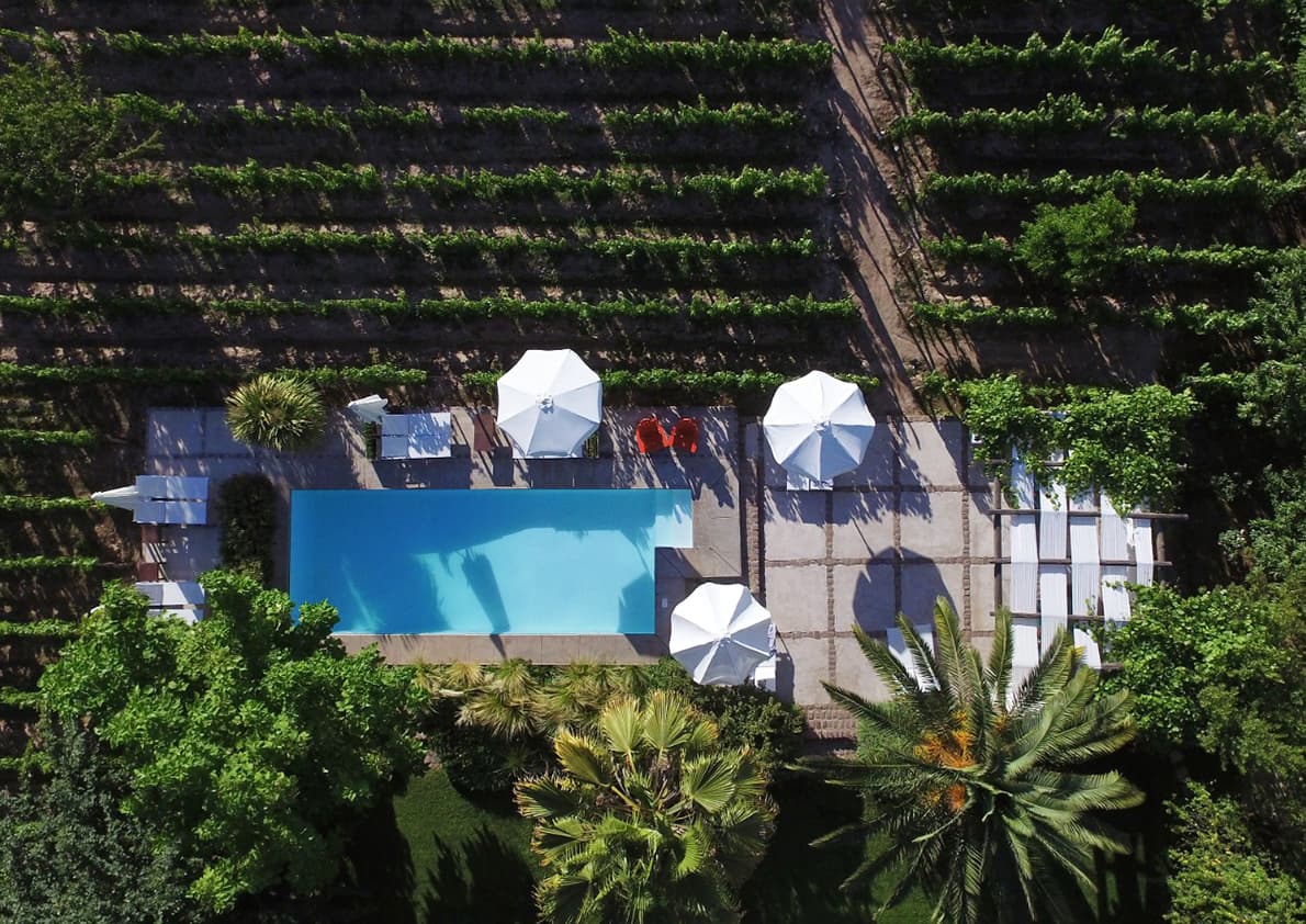 Finca Adalgisa