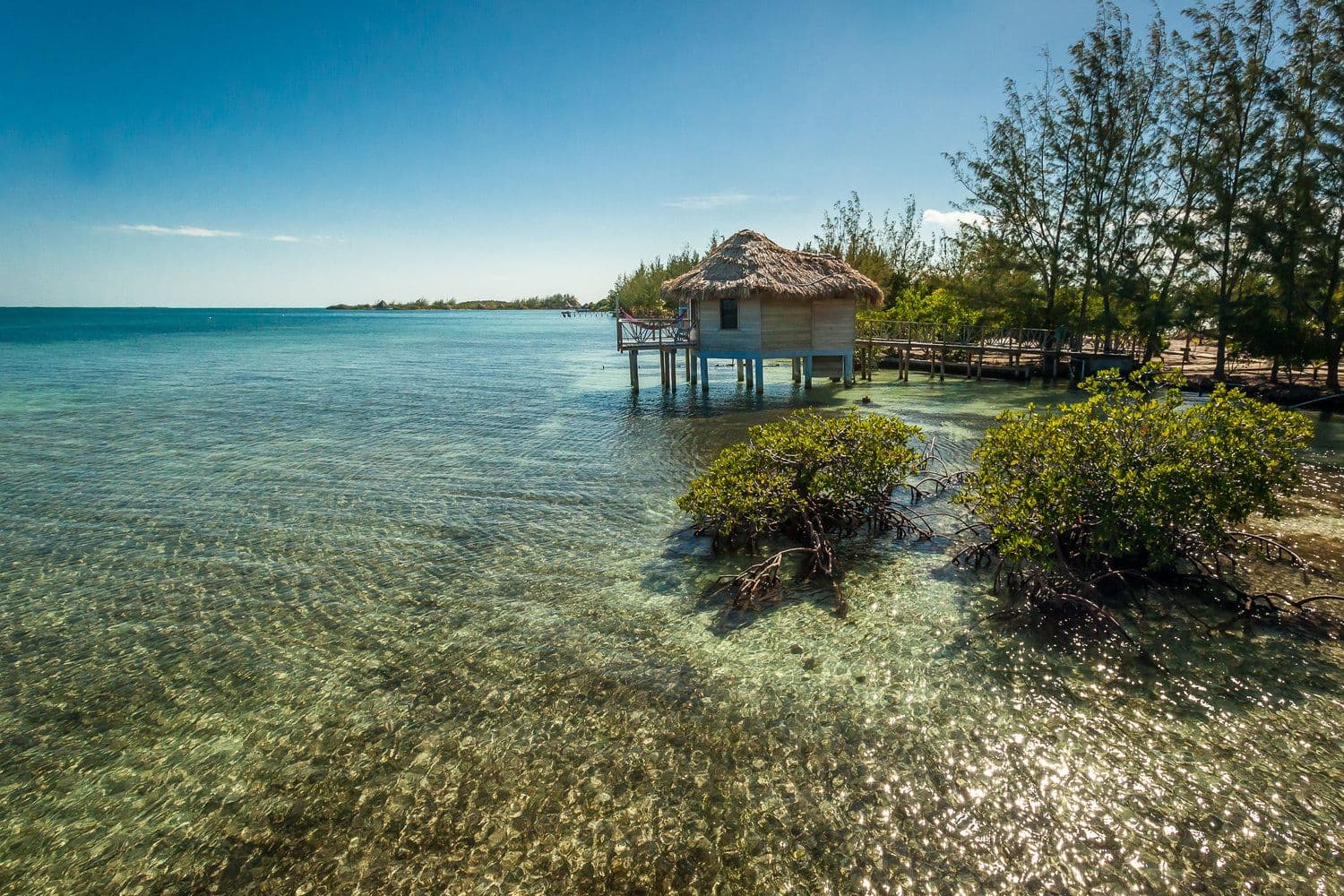 Premier Oceanfront Cabana