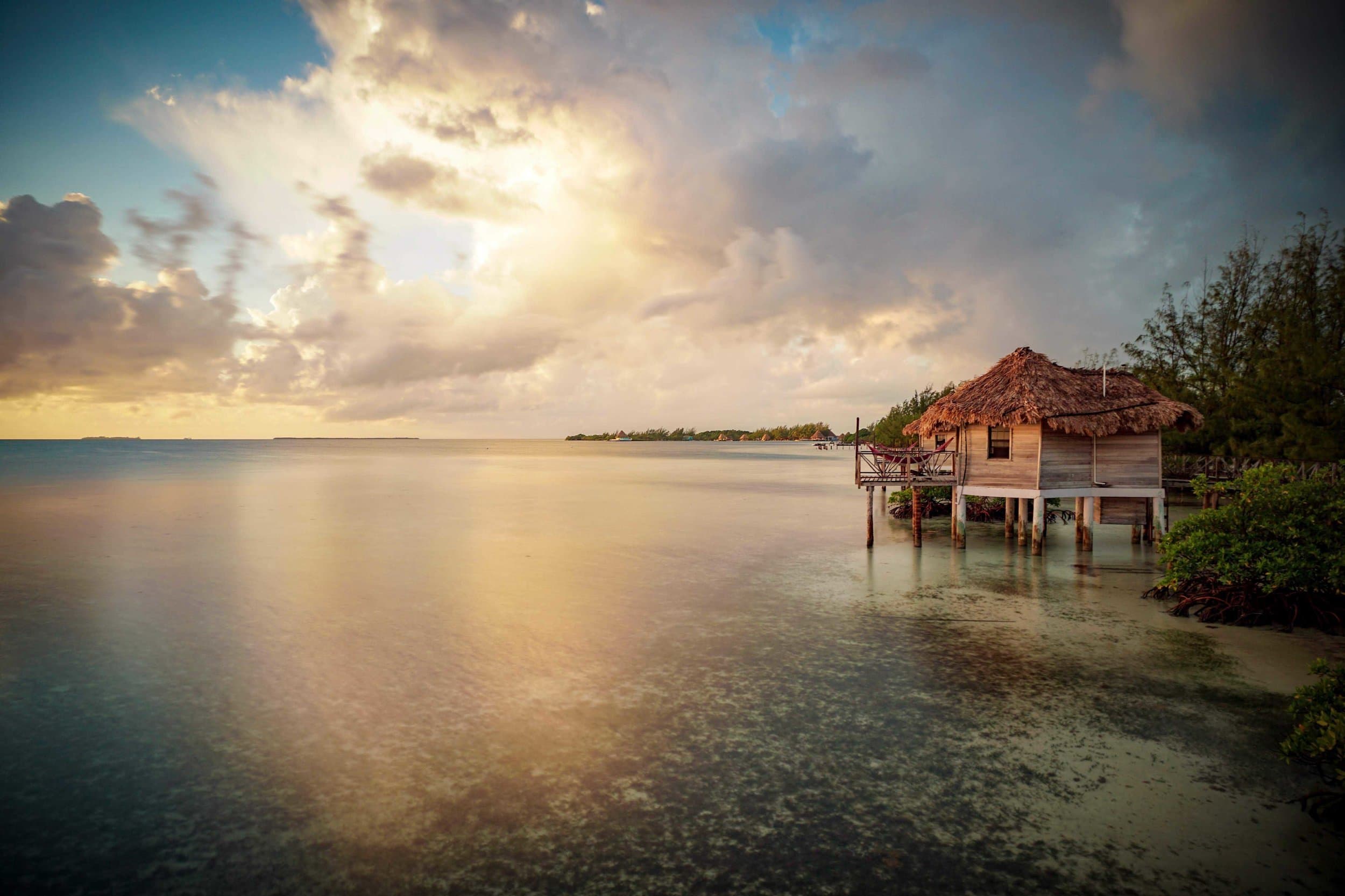 Island's Choice