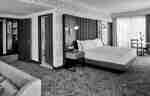 1 King Bed